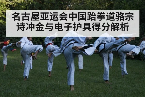 taekwondo kick action